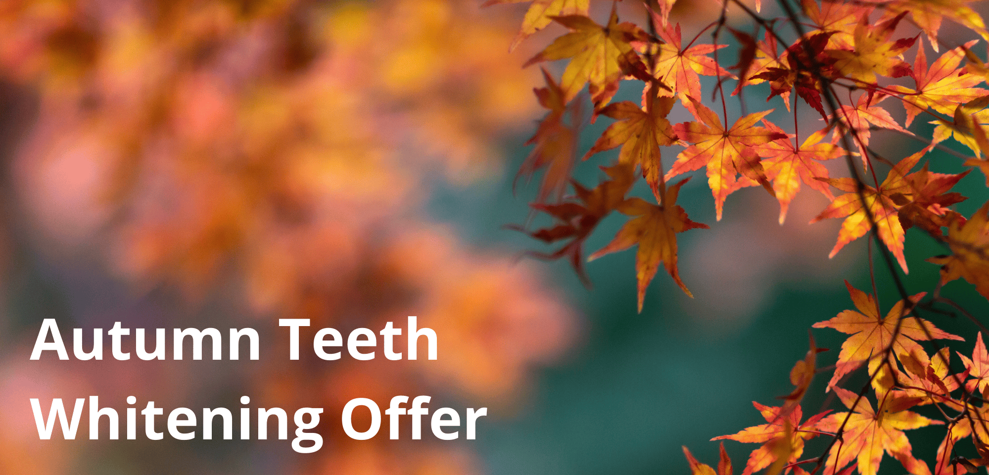 Save £100 on Whitening in September